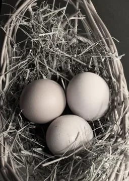 Three eggs Foto stock