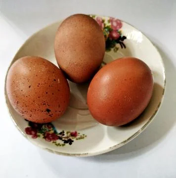 Three eggs Stock Photos