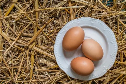 Three  eggs  in a plate on straw background Stock Photos