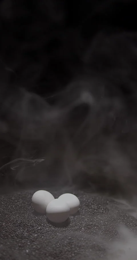 Three eggs resting on dark black sand with a misty background in a tranquil Stock Footage 312984200