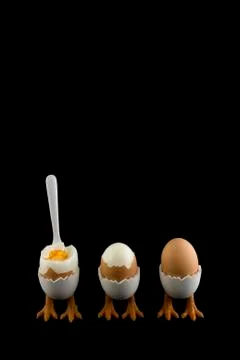 Three eggs in a row Stock-Fotos