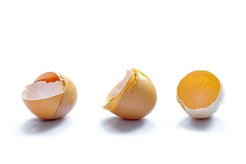 Three eggshell fresh broken chicken egg halves with shadow isolated. Stock Photos