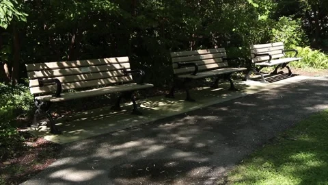 Three empty benches in shade and sun next to path pathway with trees behind Stock Footage 249421511