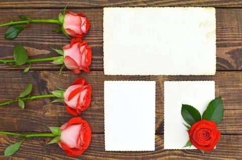 Three empty photo frames and roses on wooden background Foto stock
