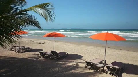 Three empty sun loungers on the tropical beach at sunset. Orange parasols and a Stock Footage 227550540