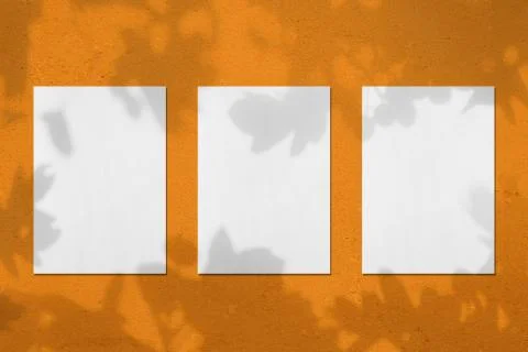 Three empty white vertical rectangle poster mockups with leaves shadows Stock Photos