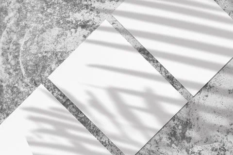 Three empty white vertical rectangle poster mockups with soft palm leaves shadow Stock Photos