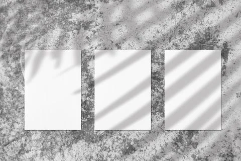 Three empty white vertical rectangle poster mockups with soft palm leaves shadow Stock Photos