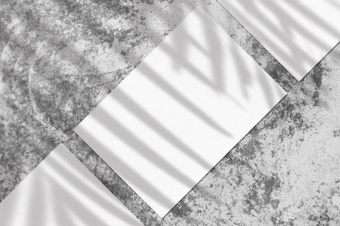 Three empty white vertical rectangle poster mockups with soft palm leaves shadow Stock Photos