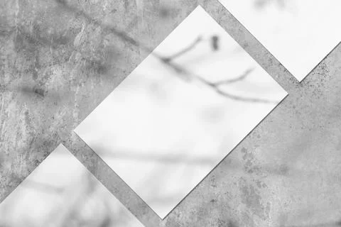 Three empty white vertical rectangle poster mockups with soft tree leaves shadow Stock Photos