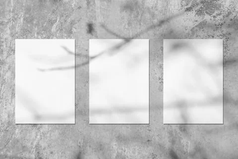 Three empty white vertical rectangle poster mockups with soft tree leaves shadow Stock Photos