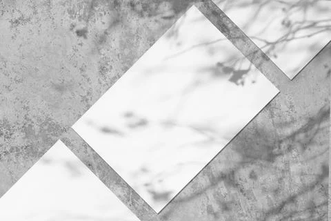 Three empty white vertical rectangle poster mockups with soft tree leaves shadow Stock Photos