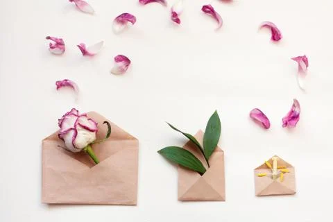 Three envelopes with plants Stock Photos