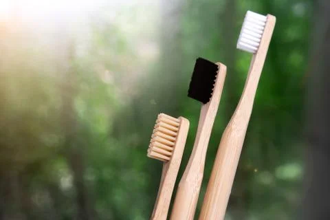 Three environmentally friendly toothbrushes Stock Photos