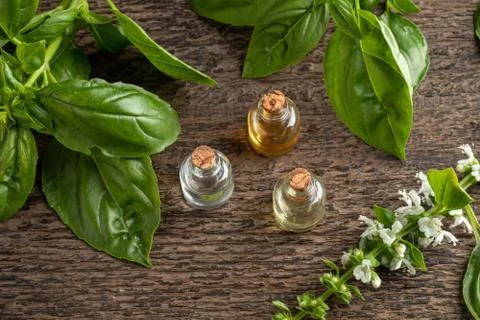 Three essential oil bottles with fresh blooming basil twigs Foto stock