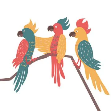 Three exotic parrots set sitting on brunches. Tropical birds and parrot colle Stock-Illustration