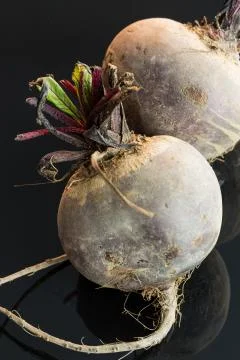 Three farm fresh raw beetroot Stock Photos