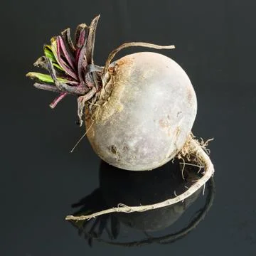 Three farm fresh raw beetroot Stock Photos