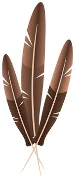 Three feathers Stock Illustration