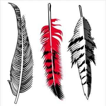 Three feathers Stock Illustration