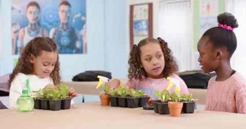 Three female students, two youth and one child, planting seedlings during class Stock Footage 341064107
