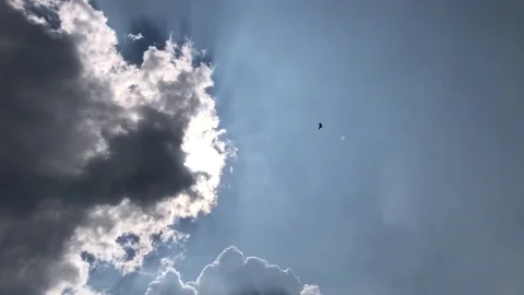 Three fighter planes scouts is quickly appeared in the clouds 스톡 동영상 138563475