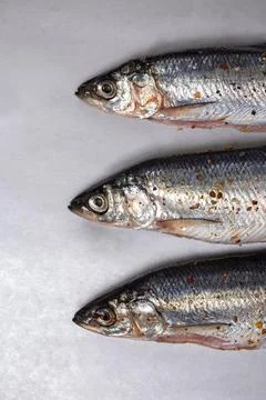 Three fish in spices on a gray background Stock Photos