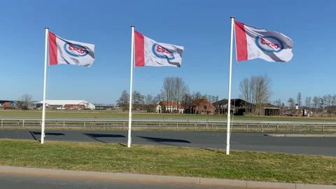 Three flags of the Esso fuel company to a petrol station from the esso. Stock Footage 149372267