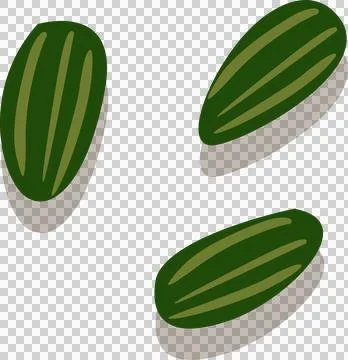 Three flat design seed shapes are floating diagonally on transparent background Illustrazione stock