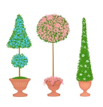 Three Floral Topiaries Stock Illustration