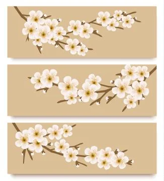 Three flower branch banners. vector. Stock Illustration