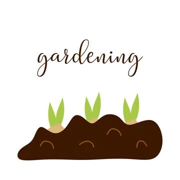 Three Flower Bulbs Planted in the ground with Lettering Text Gardening. Vecto Stock Illustration