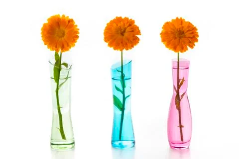 Three flowers Stock Photos