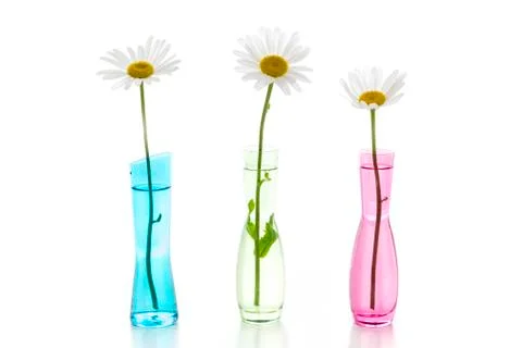 Three flowers Stock Photos