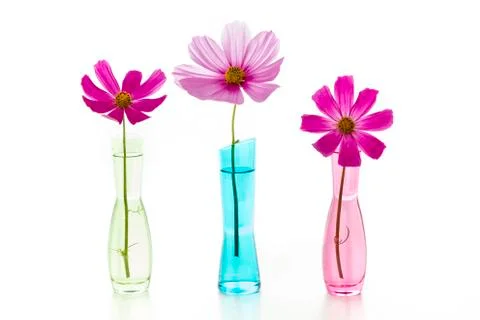 Three flowers Stock Photos