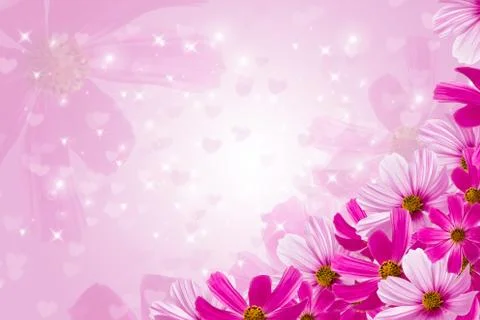 Three flowers Stock Photos