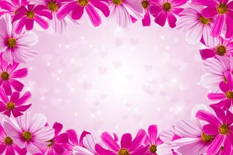 Three flowers Stock Photos