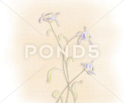 Three flowers.jpg Stock Illustration