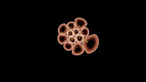 Three Fluorescence Channels Merge Into One Composite Image Stock Footage 344512785