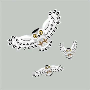 Three flying polar owls Stock Illustration