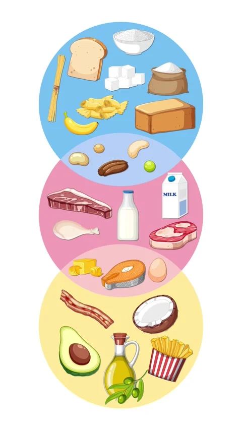Three Food Groups Animation with Colorful Overlapping Circles Stock Footage 320921262