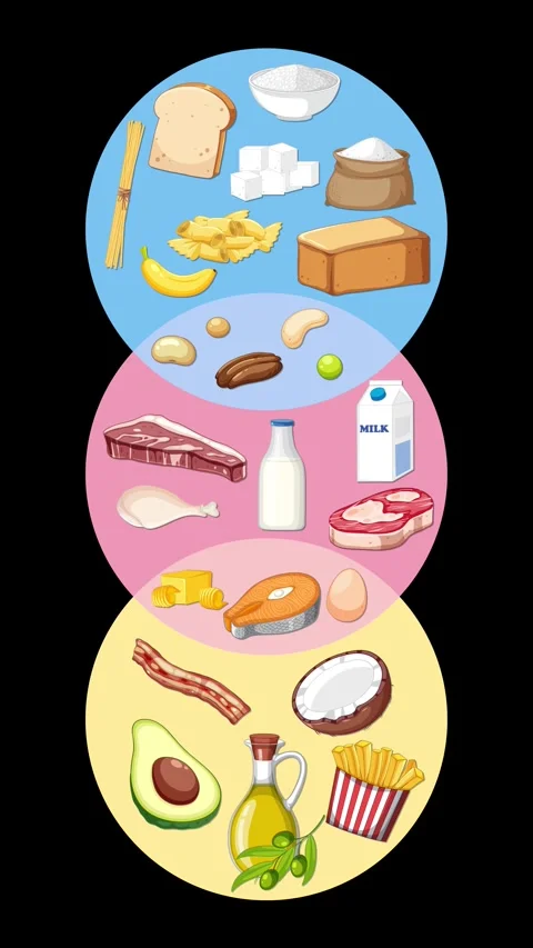 Three Food Groups Animation with Overlapping Venn Diagram Circles Stock Footage 318566961