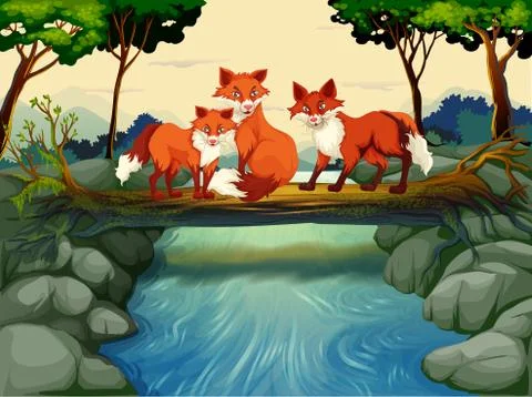 Three foxes on the log over the river Ilustração Stock