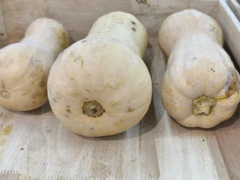 Three Fresh Butternut Squashes Displayed on a Rustic Wooden Surface Stock Photos