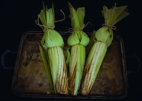 Three fresh corn black background 스톡 사진