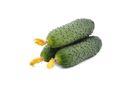 Three fresh cucumbers isolated on white. Stock Photos