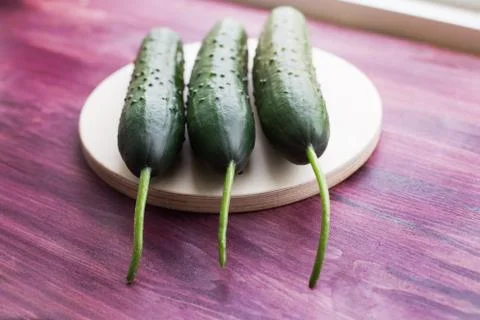 Three fresh cucumbers lying on windowsill Stock Photos