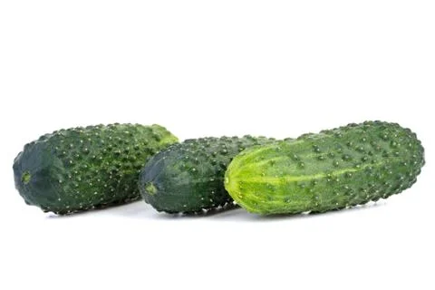 Three fresh cucumbers Stock Photos