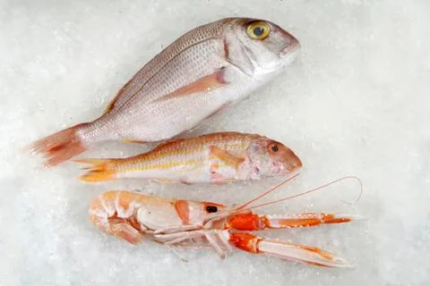 Three fresh fish on ice Stock Photos