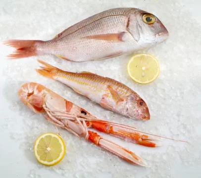 Three fresh fish Stock Photos